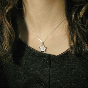 fj-t016-chain